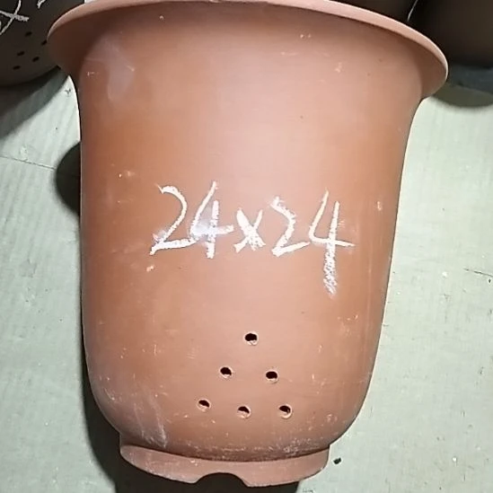 紫砂20CM（含）-50CM（不含）红泥特大金钟一个微瑕