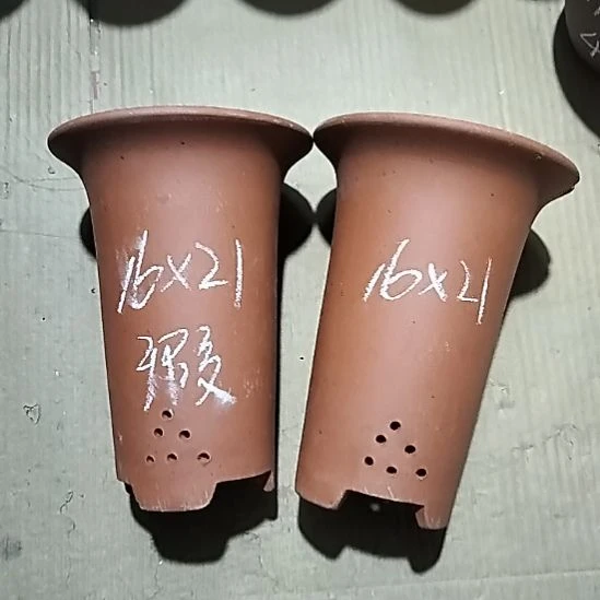 紫砂20CM（含）-50CM（不含）小红兰花两个微瑕点点