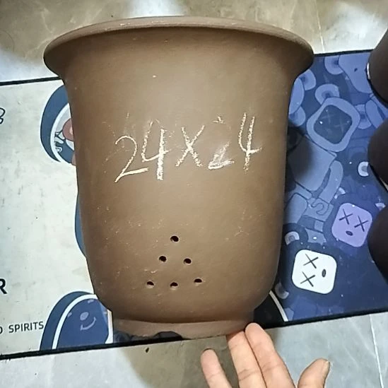 紫砂20CM（含）-50CM（不含）特大金钟瑕疵一个