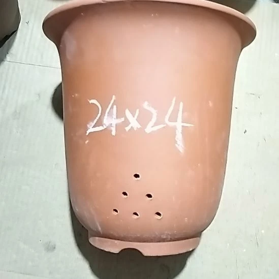 紫砂20CM（含）-50CM（不含）红泥特大金钟一个微瑕