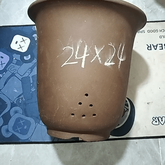 紫砂20CM（含）-50CM（不含）特大金钟瑕疵一个