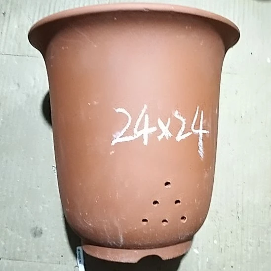 紫砂20CM（含）-50CM（不含）红泥特大金钟瑕疵一个