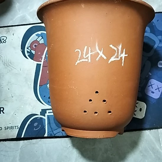 紫砂20CM（含）-50CM（不含）红泥特大金钟瑕疵一个