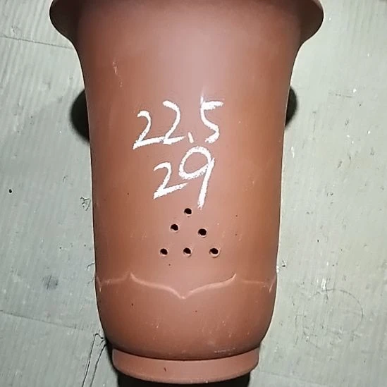 紫砂20CM(含)-50CM(不含)红泥莲花金钟微瑕一个