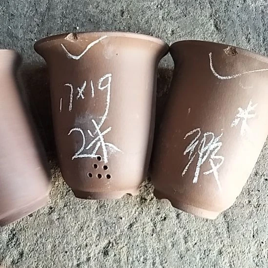 紫砂20CM（含）-50CM（不含）小金钟磕碰两个