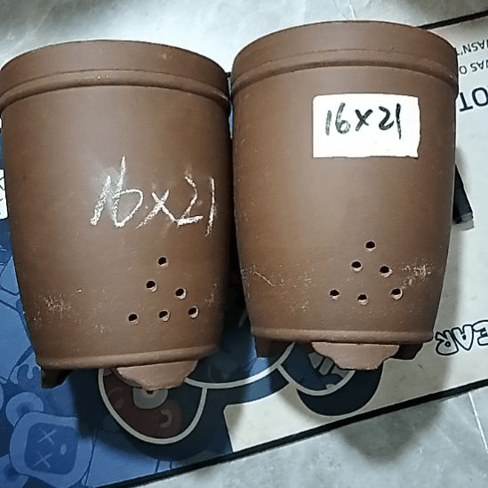 紫砂20CM（含）-50CM（不含）三线紫泥两个微瑕