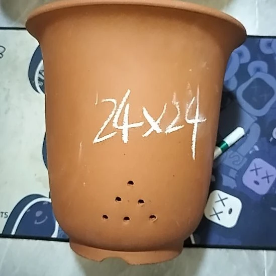 紫砂20CM（含）-50CM（不含）红泥特大金钟瑕疵一个