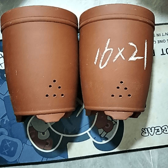 紫砂20CM（含）-50CM（不含）红泥三线两个瑕疵