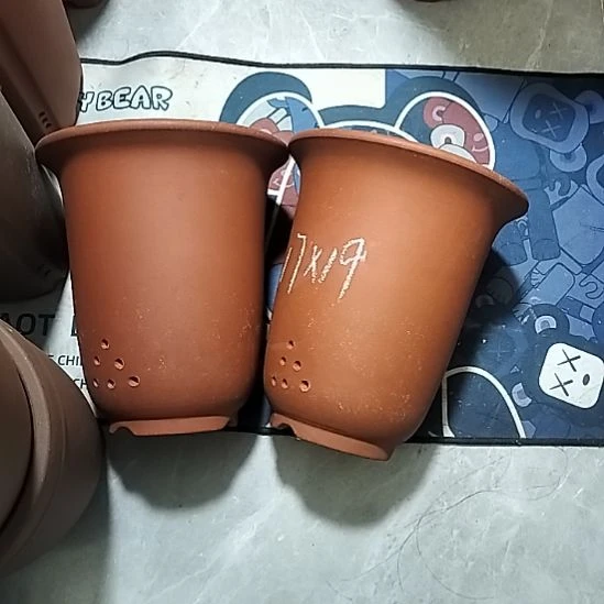 紫砂20CM（含）-50CM（不含）红泥福利金钟微瑕