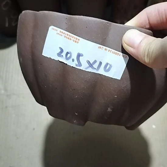 紫砂20CM（含）-50CM（不含）南瓜两个