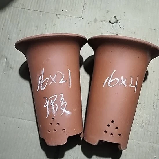 紫砂20CM（含）-50CM（不含）小红兰花两个微瑕点点
