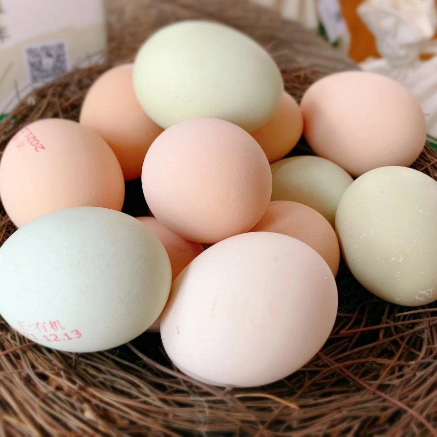 有机山鸡蛋30枚新鲜农产品蛋黄食用天然健康跑山 45-50g