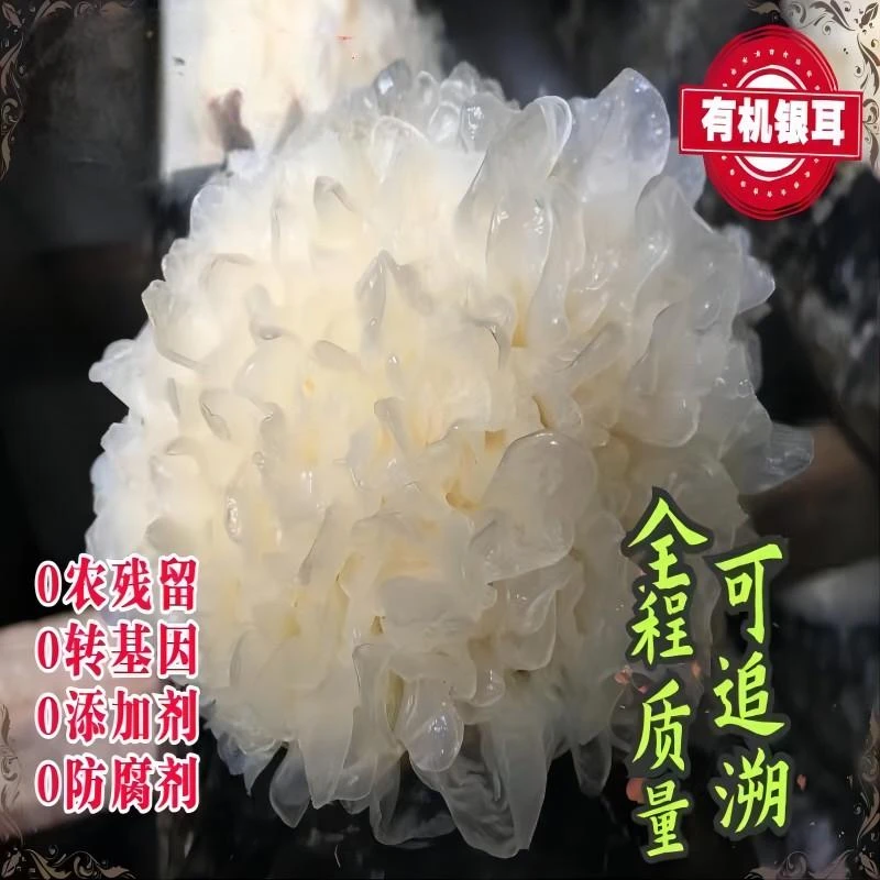 有机银耳.优质美味.精选高品质.甄选营养（70克/袋）