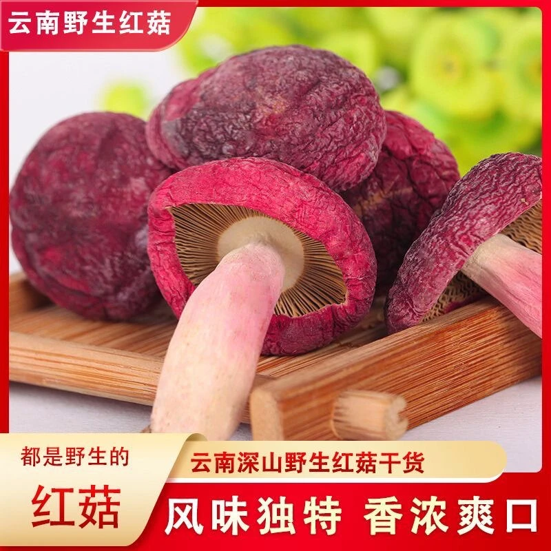 云南红菇野生正宗红菇月子菇红茹红菇娘大红菌红菇煲汤袋装不染色