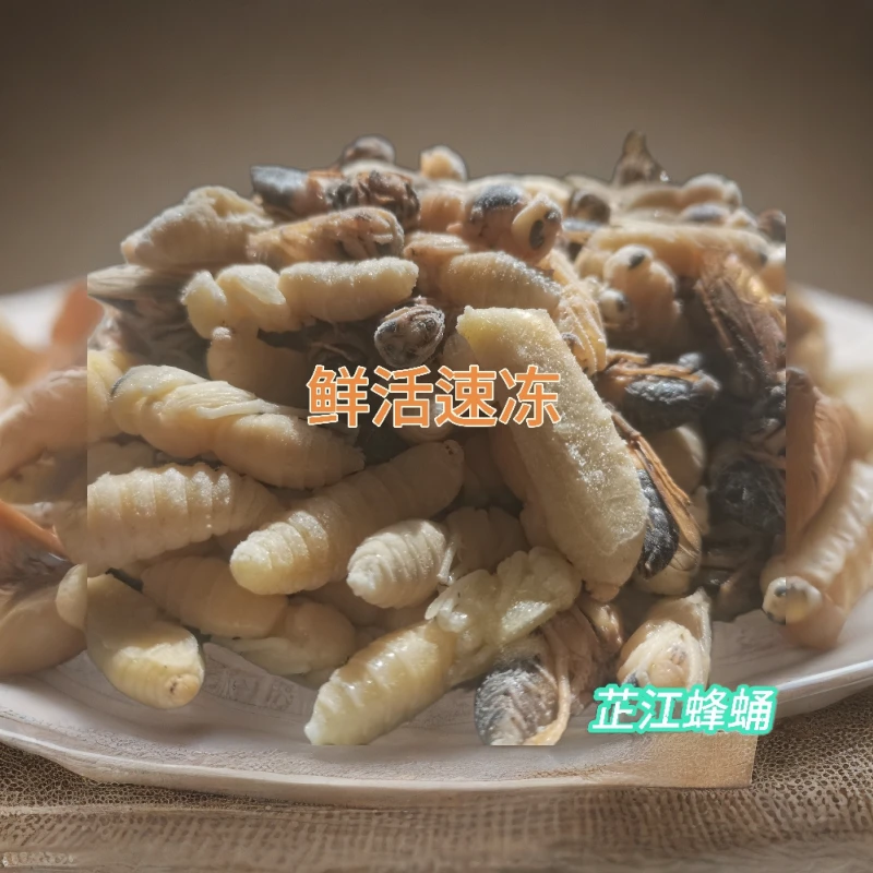 马蜂蛹油炸蜂蛹虎头蜂精品黑尾虎头蜂金环虎头蜂冻蛹统货个大饱满