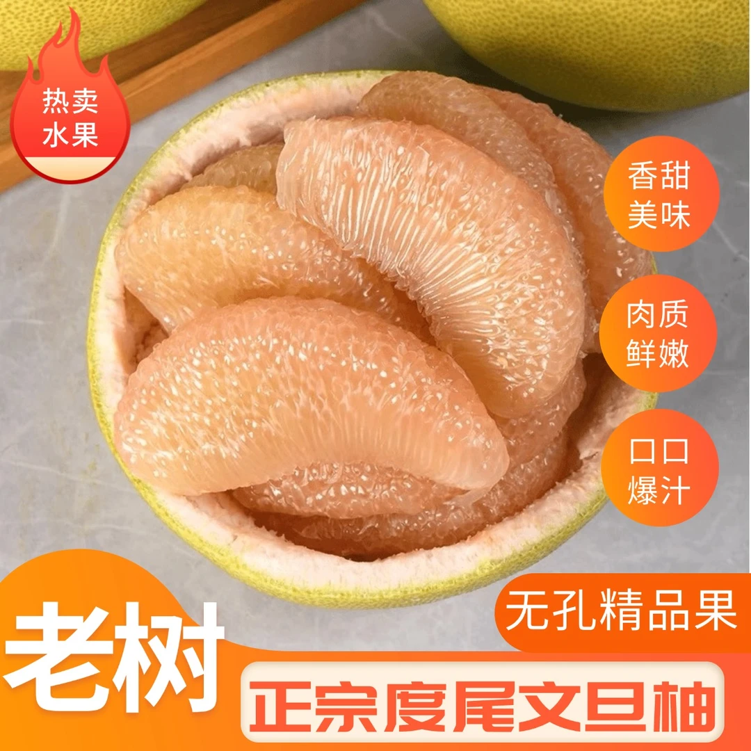 正宗度尾老树文旦柚文旦柚汁水丰富口感细腻老少皆宜当季现采现发