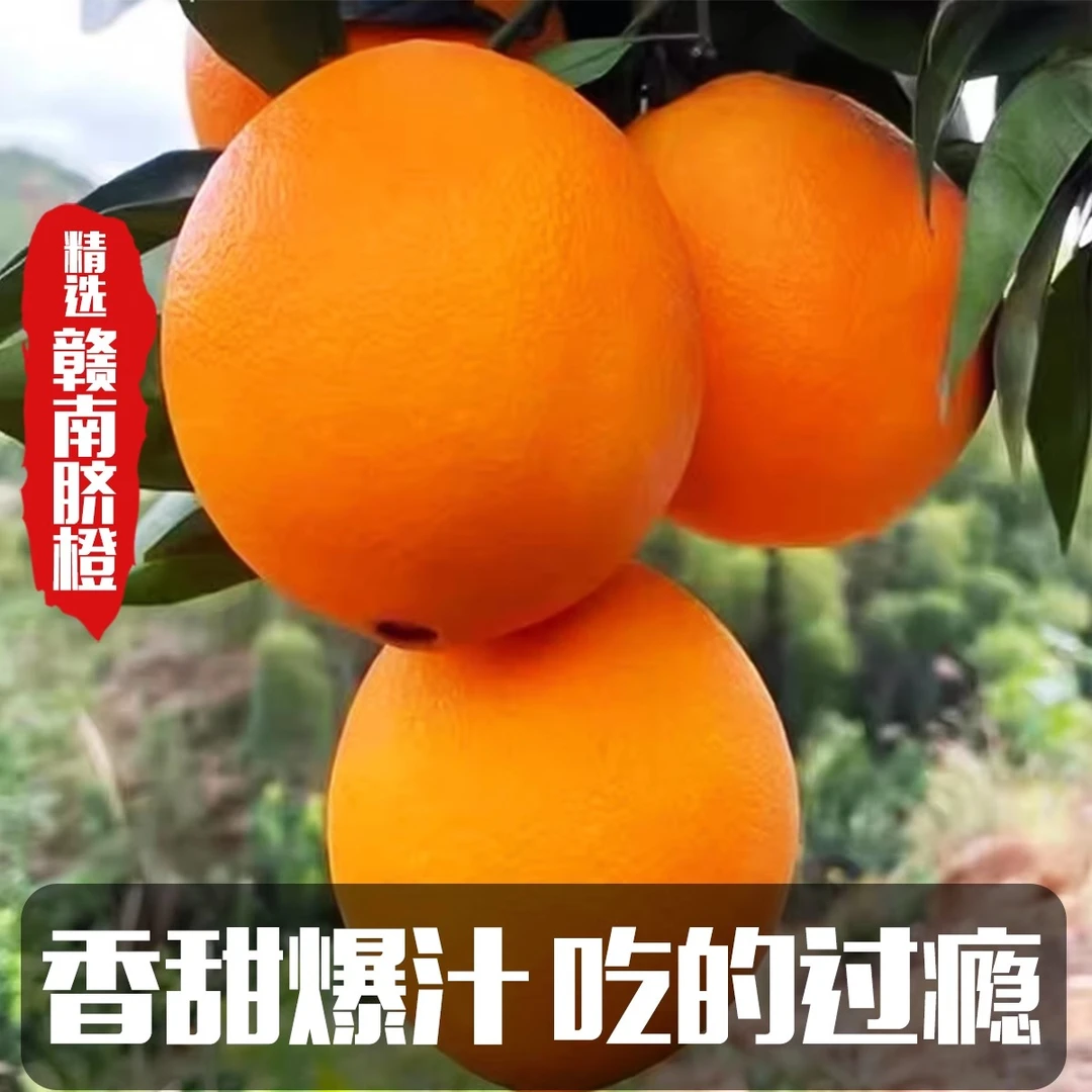 正宗江西赣南脐橙特级橙子手剥甜橙10斤新鲜当季水果自家果园直发