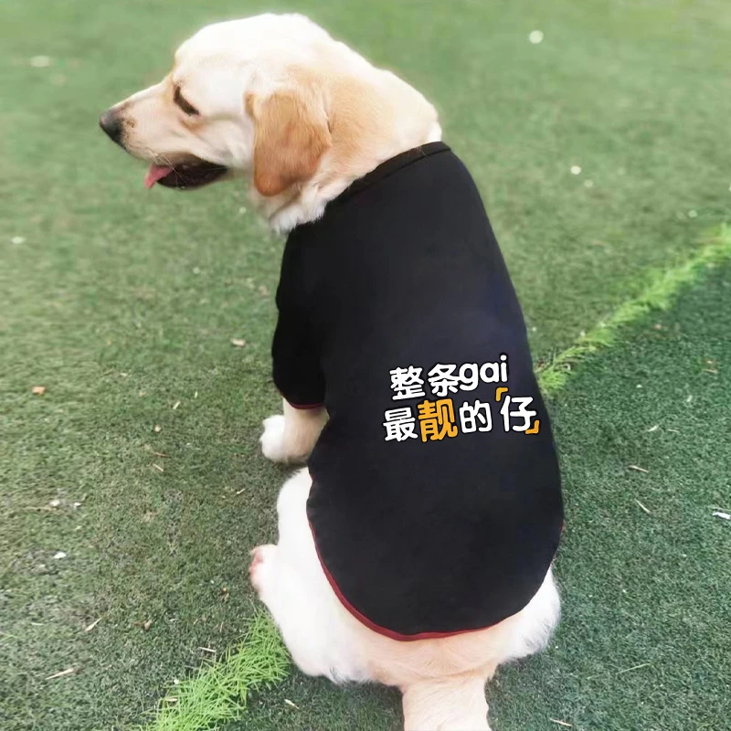 狗狗衣服春秋款夏季薄款防掉毛金毛柴犬网红拉布拉多洋气小中大犬