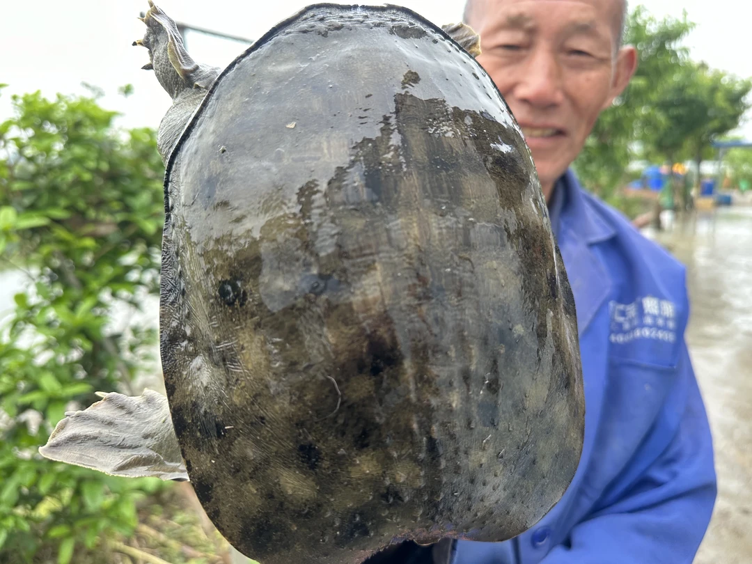 竣富土货农村直播土货改价链接食用水产品农产品顺丰包活包邮