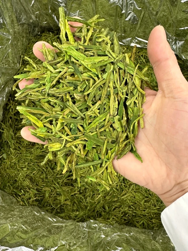 24新茶浓香龙白白茶1-2-6#（500克送水杯）