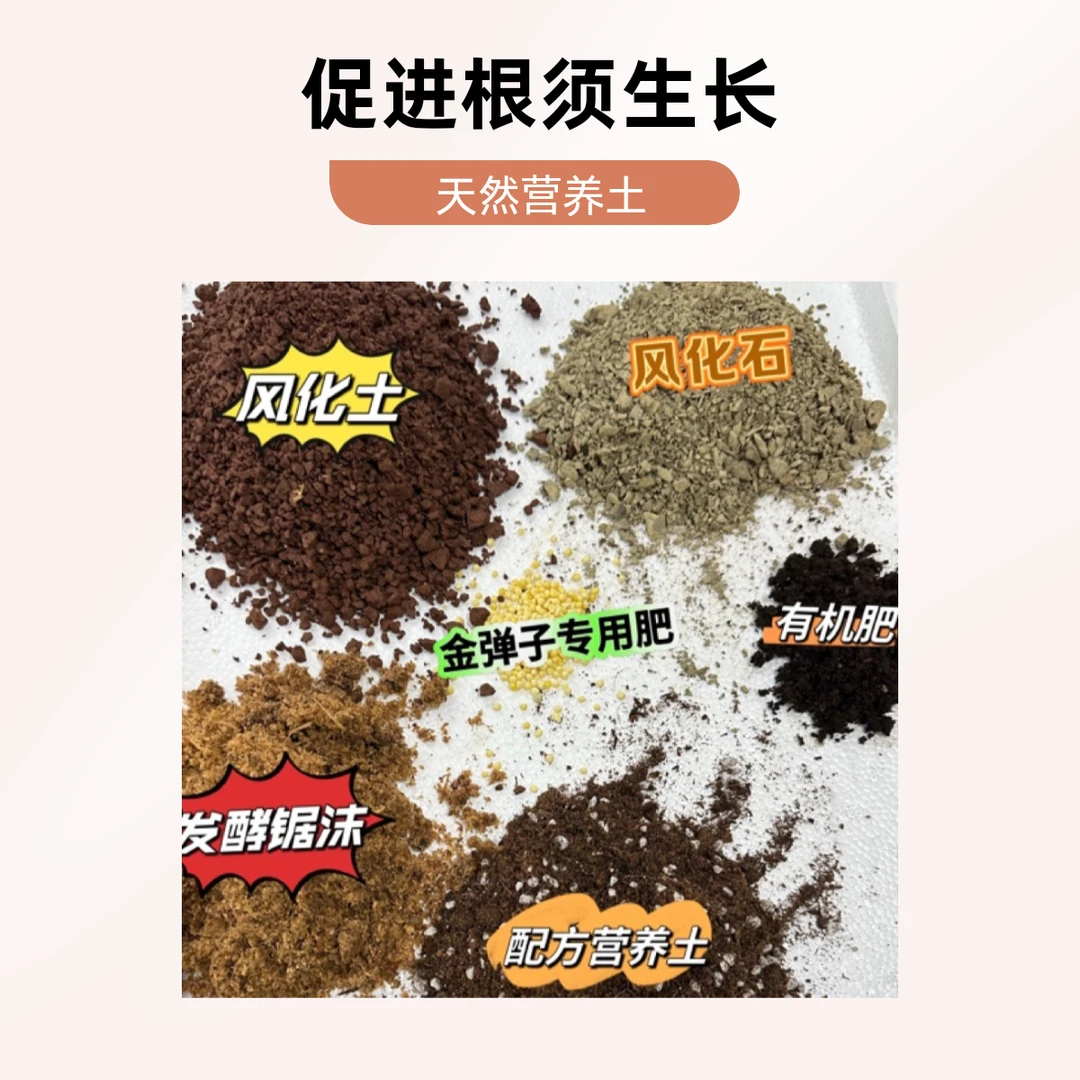 金弹子专用配方土疏松透气营养丰富保根保果