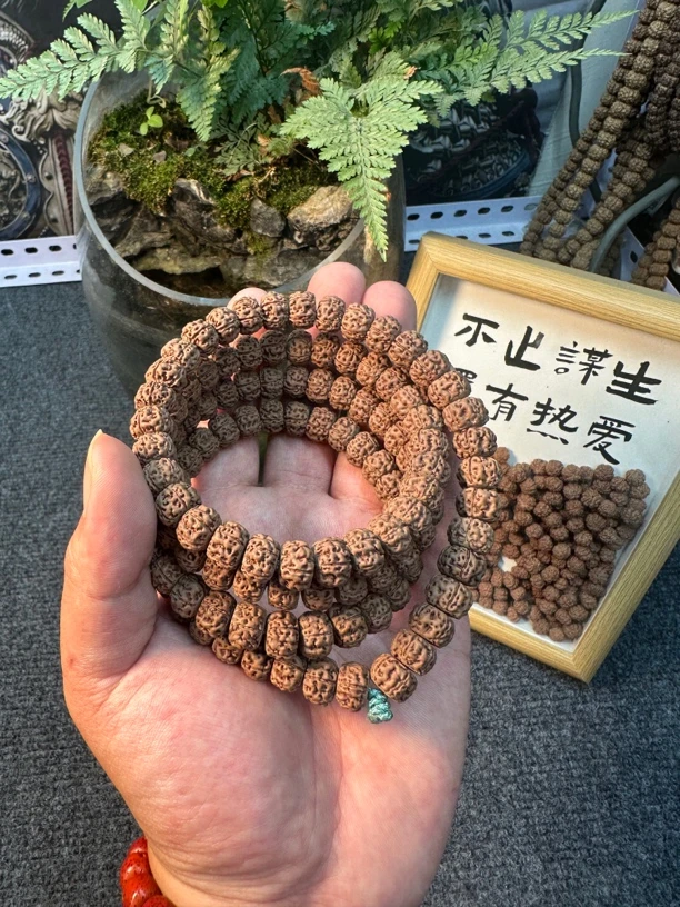 【下水包红】挂脖原皮原色龙切小金刚藏式菩提子龙切爆肉文玩佛珠