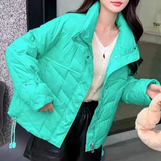 冬季时尚百搭新款洋气宽松厚款立领面包服短款羽绒服 C2391