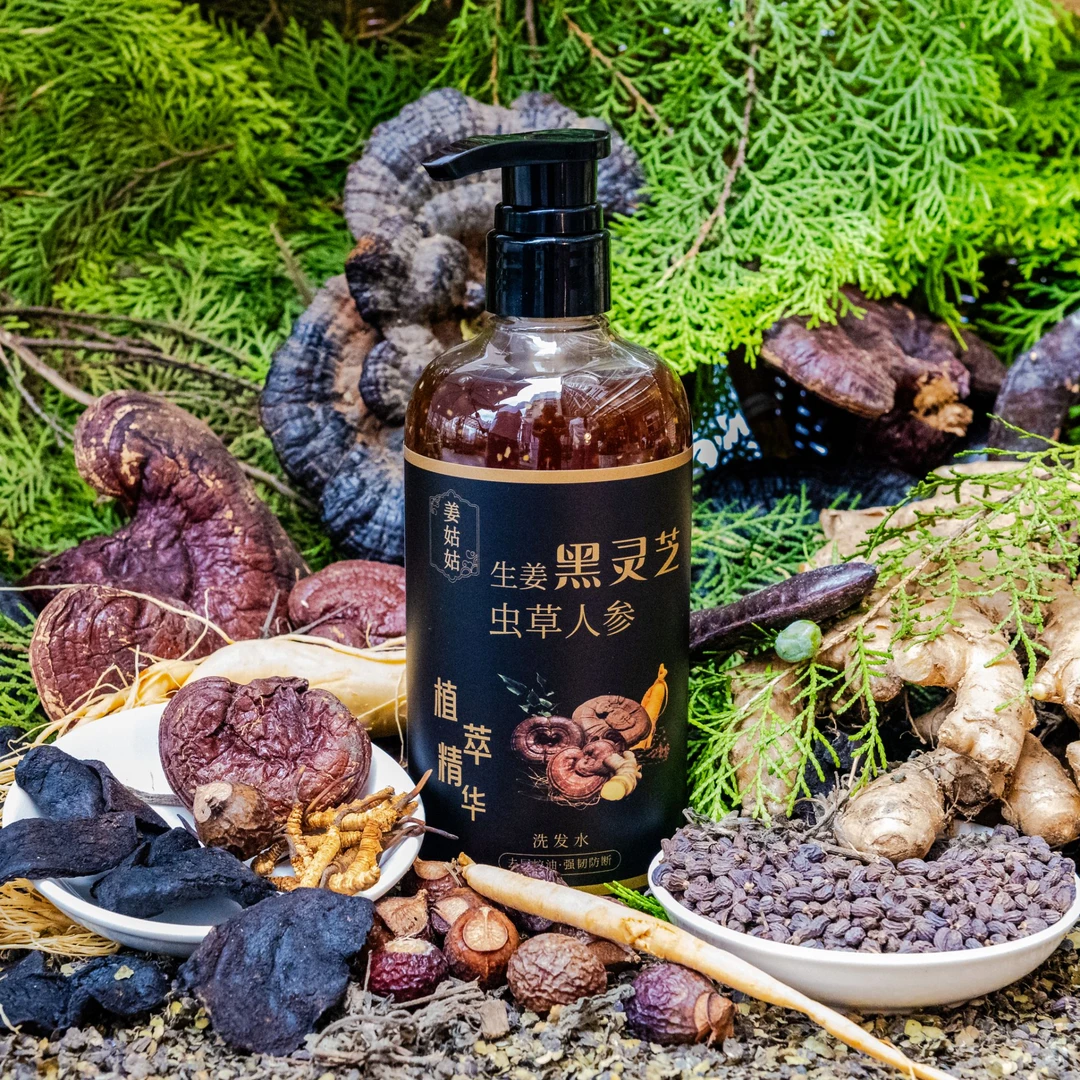 姜姑姑生姜黑灵芝虫草参洗发液  养发护发草本控油去屑止痒