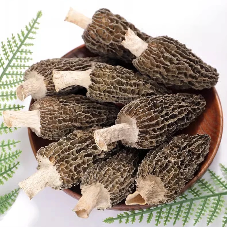 【灵灵推荐】羊肚菌煲汤煮汤炒菜搭配