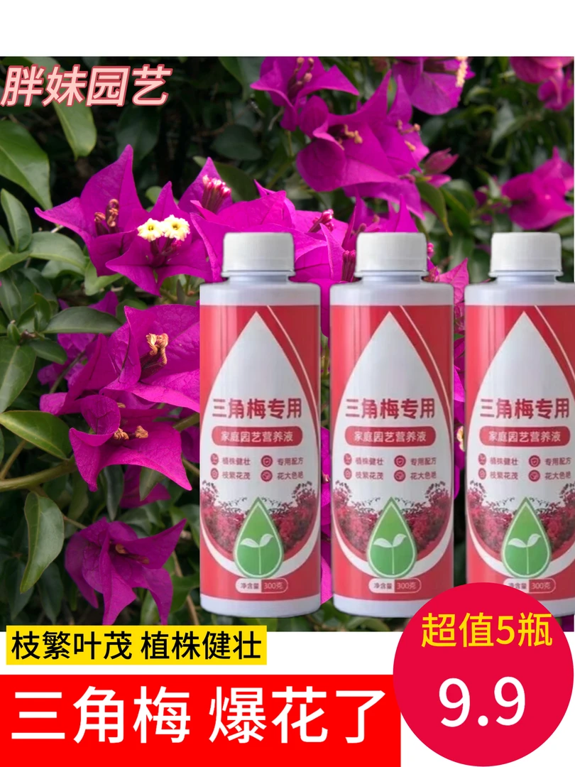 三角梅专用肥绿植物营养液腊梅盆栽促开花快速生根液