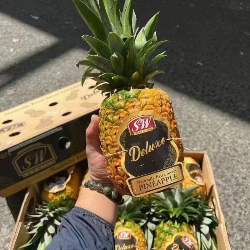 进口菲律宾sw黑钻蜂蜜凤梨单果2.5斤-4斤大果精选树上熟菠萝纯甜