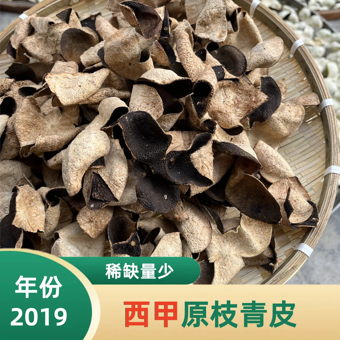 【2019西甲青皮断片】西甲原枝青皮正宗新会陈皮核心产区