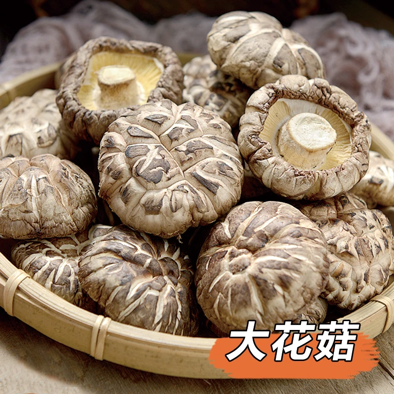 精选大号椴木花菇    非鱼干