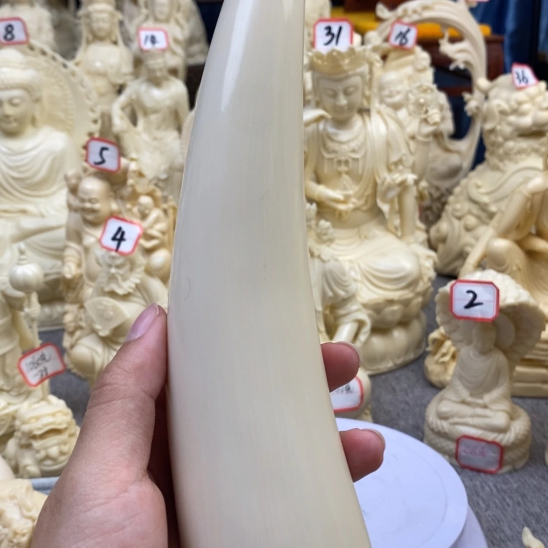 【闪购商品】红贵宝呵****。猛犸尖尖
