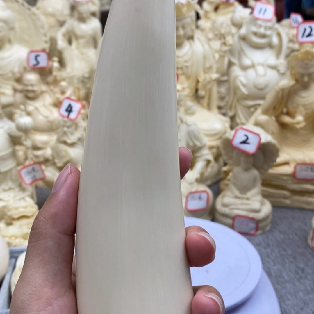 【闪购商品】红贵宝猛犸尖尖