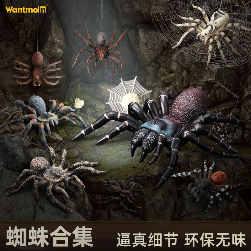 Wantmoin玩模乐儿童仿真昆虫模型玩具 大毒蜘红丝绒蜘蛛早教认知