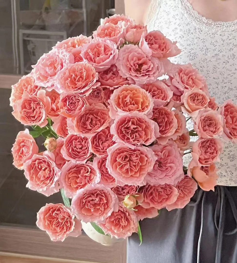 粉色拉拉队多头玫瑰10枝———任意两单升级顺丰/京东/德邦空运