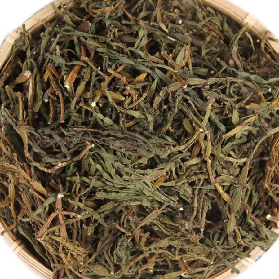 茶話-云南高山螃蟹脚古茶树寄生植物