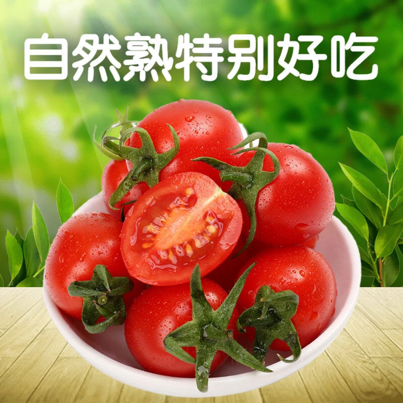 现摘现发新鲜优选圣女果小番茄小西红柿酸水果非千禧樱桃