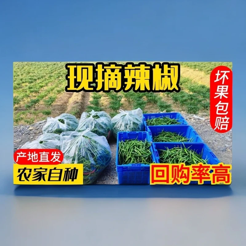 湖南农村本地辣椒