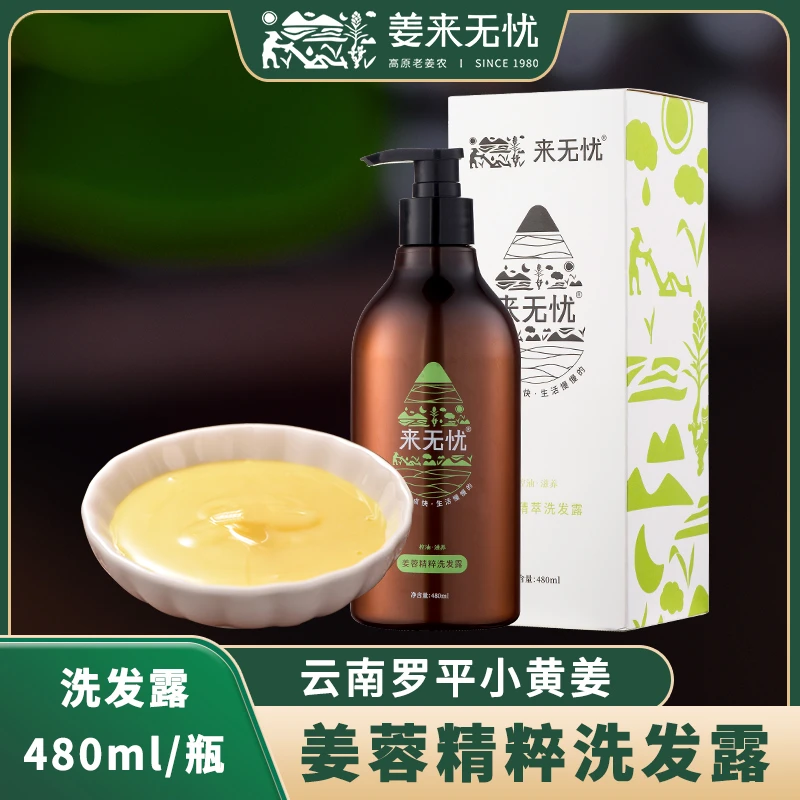 姜来无忧姜蓉洗发露 滋养去屑养护洗发水480ml养发生姜洗发三件套