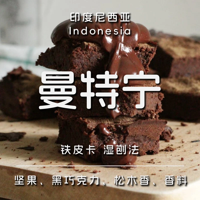 曼特宁 苏门达腊铁皮卡咖啡豆 湿刨法进口咖啡豆手冲咖啡黑咖啡粉