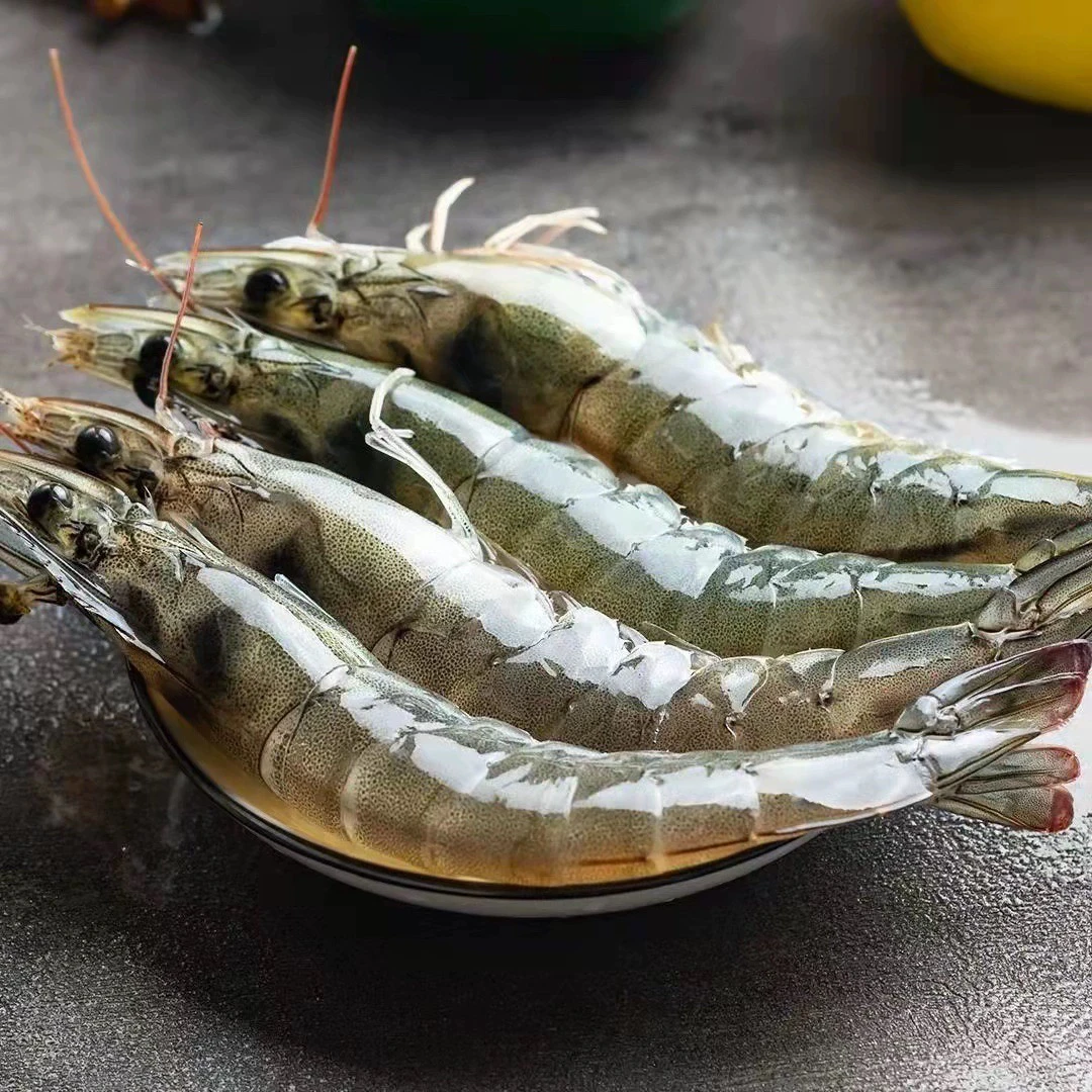 （高盐度海虾）高盐度海水虾 肉紧 煮着吃 3-5斤装