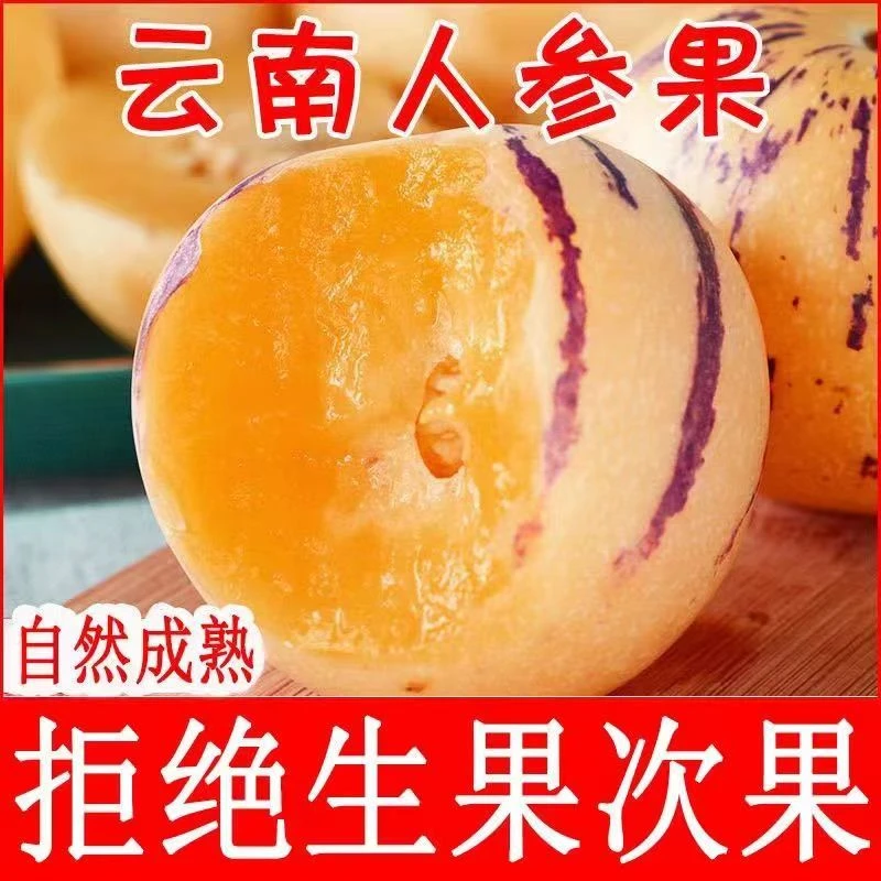 云南石林人参果新鲜水果圆果富硒树上熟奶香清甜香甜不泡药自然熟