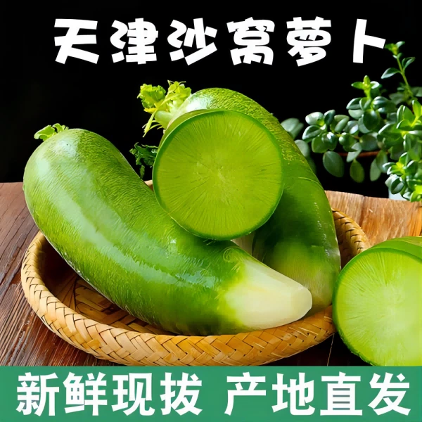 【王大水专属】正宗天津沙窝萝卜水果萝卜多汁脆甜爽口
