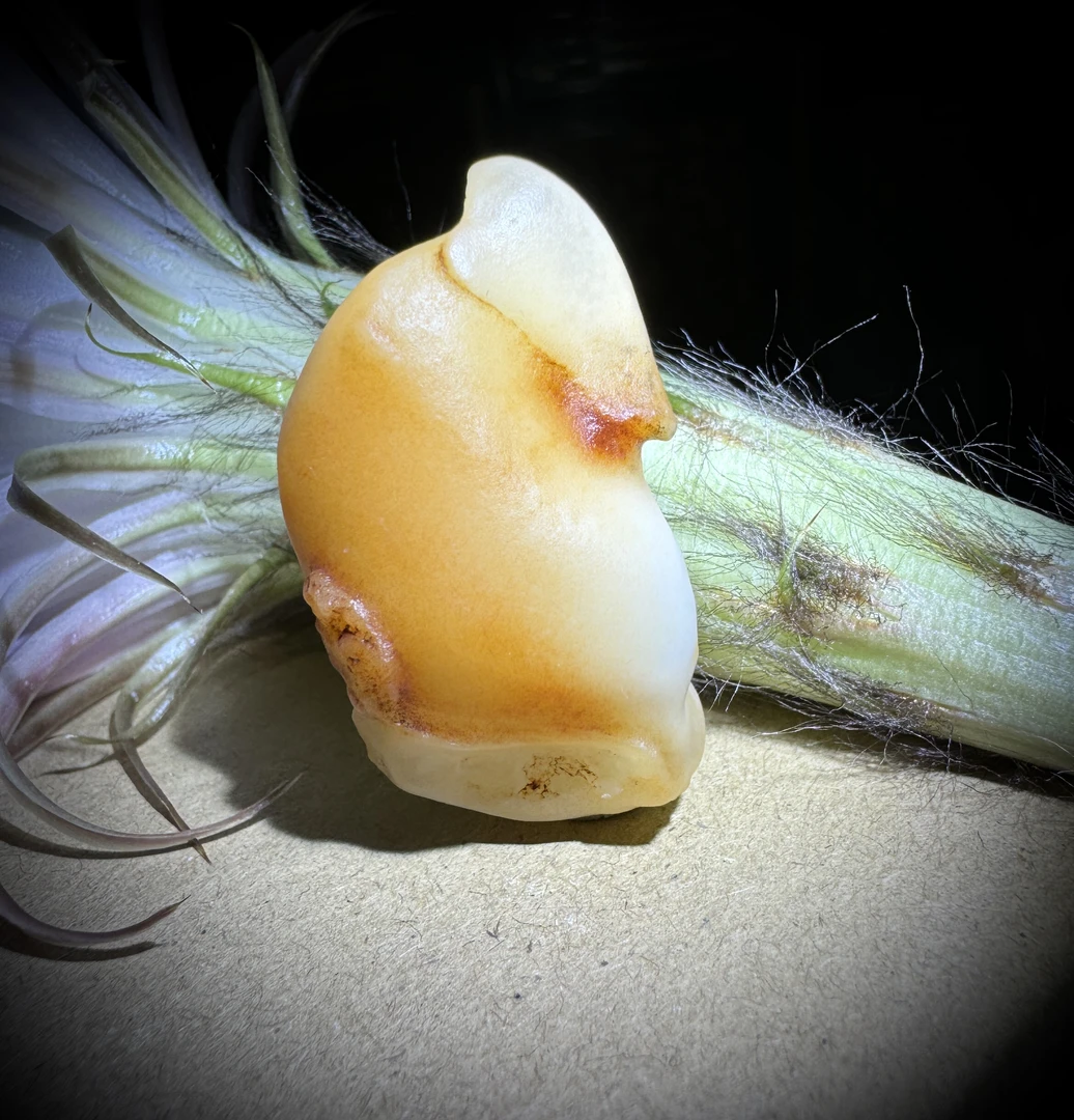 戈壁沙漠漆原石 天然原石 人物带象形