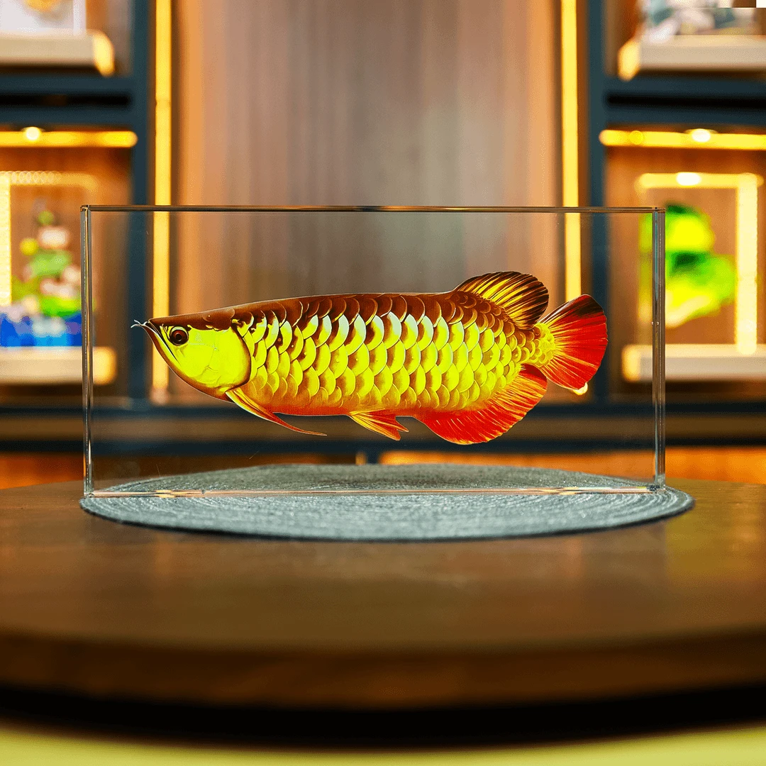 【内雕龙鱼】水晶摆件观赏造景当代人造水晶艺术品装饰品摆件客厅