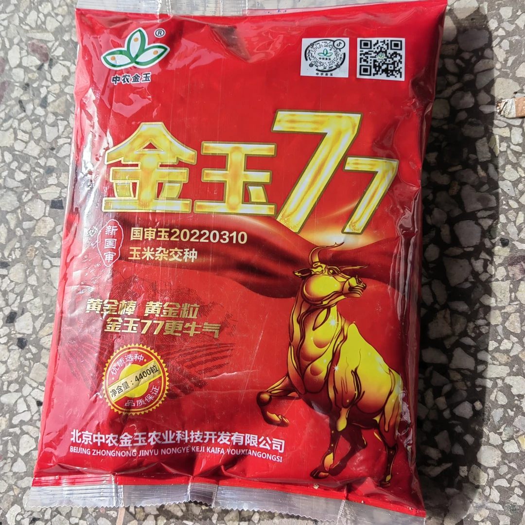 黄金棒黄金粒金玉77更牛气