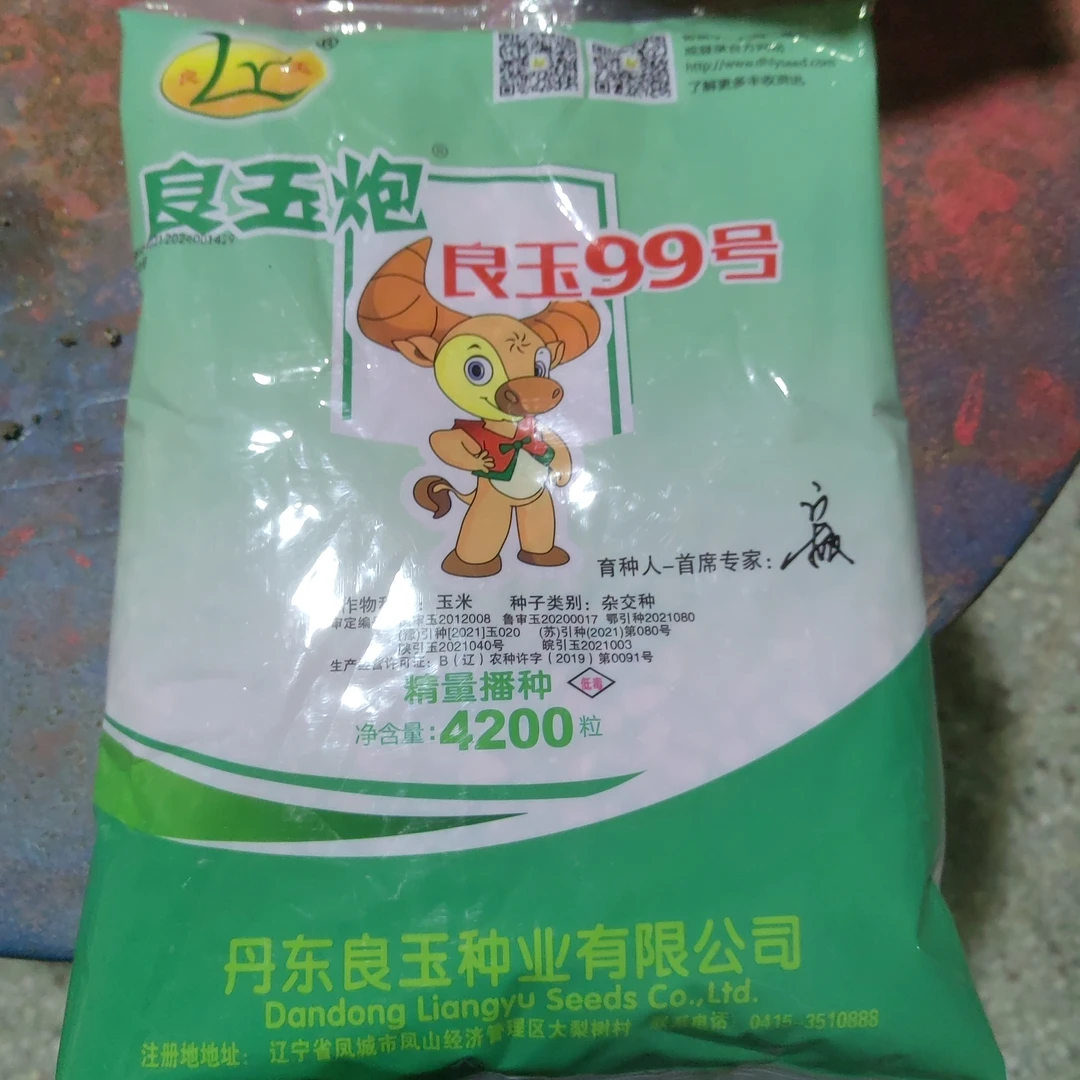 丹东良玉炮玉米种（良玉99号）十袋赠一袋！！！