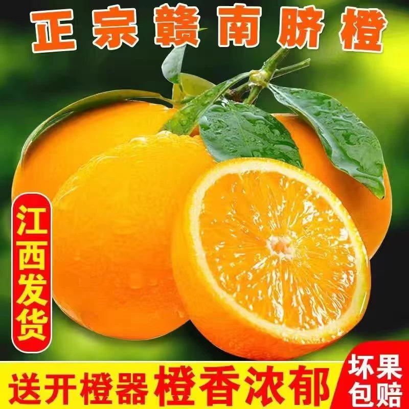 香甜赣南脐橙新鲜产地应季橙子孕妇水果2/10斤清甜多汁细腻果冻